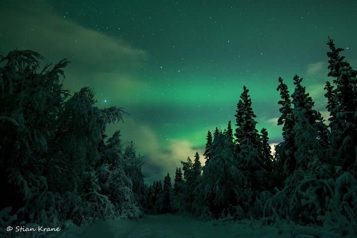 Helgeland Northern Lights Snowmobile Safari from Mosjøen photo 6