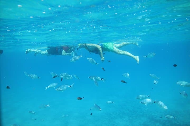 Kayak and Coasteering in Cala Sant Vicenç: Cliff Jumps, Snorkel & Deep-Water Soloing photo 4