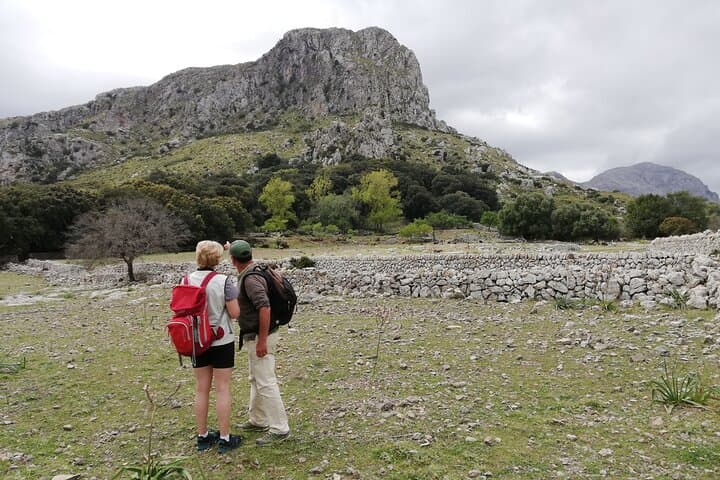 Private Hiking Tour in Pollensa: Guided 5‑Hour Treks in Mallorca's Serra de Tramuntana