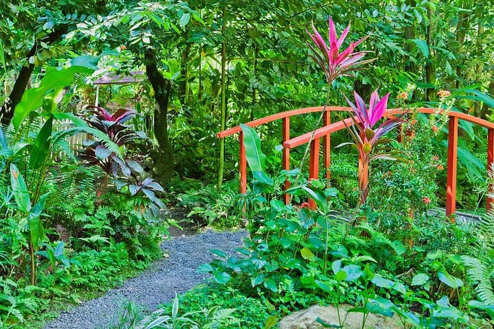 Private St Lucia Botanical Gardens & Diamond Falls Waterfall Tour — Soufrière Highlights