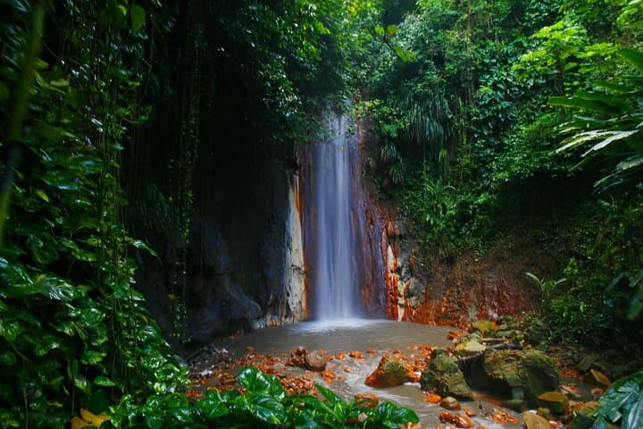 Private St Lucia Botanical Gardens & Diamond Falls Waterfall Tour — Soufrière Highlights photo 3