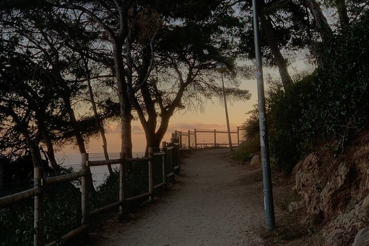 Montjuïc Magic: Sunset Hike, Vermut & Hidden Pathways in Barcelona photo 6