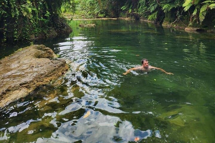 Blue Lagoon & Eden on the River: Half-Day Swim Tour from Port Vila photo 6