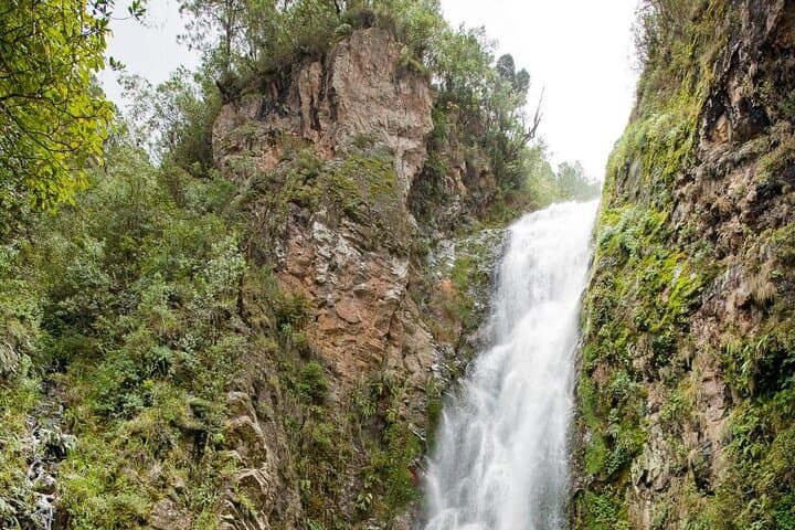 Constanza Valle Nuevo Safari: Private Mountain Tour with Coffee, Pyramids & Waterfall photo 3