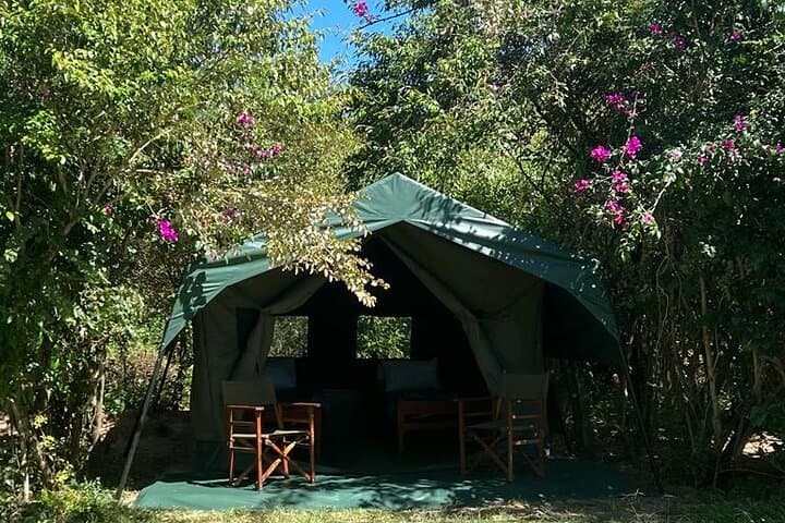 7-Day Kenya Camping Safari: Masai Mara, Lake Nakuru, Naivasha & Amboseli photo 2