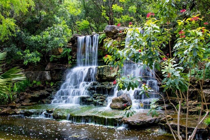 Private Austin Walking Tour: Zilker Park, Lady Bird Lake & Umlauf Garden photo 4