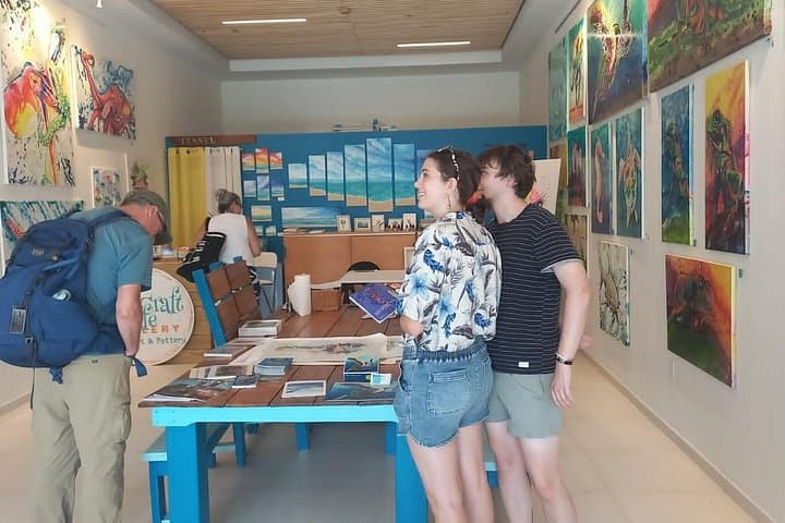 Sint Maarten Art Gallery Guided Tour: Scenic Island Art Drive and Local Studios photo 2