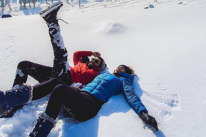 Kashmir Winter Escape: Dal Lake Shikara, Gulmarg Skiing & Pahalgam Meadows photo 4