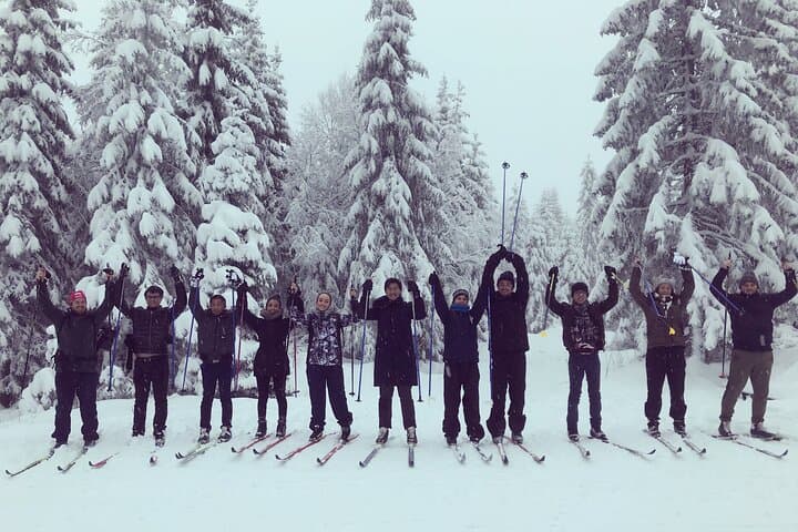 The Ultimate Norwegian Skiing Experience: Beginner Cross‑Country Skiing Near Oslo photo 2