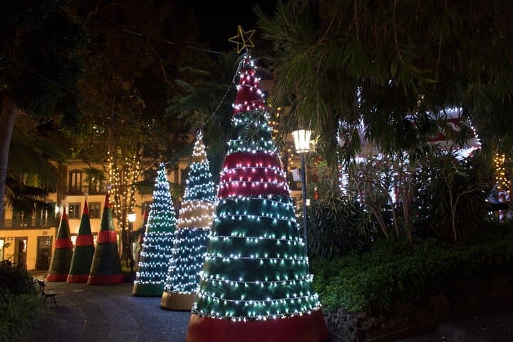 Evening Lights and Local Stories: Tallahassee Christmas Private Tour photo 4
