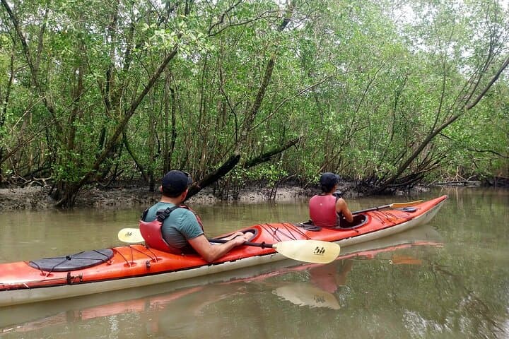 Kayak Paraty: Mangroves, Islands & Hidden Beaches of Paraty Bay