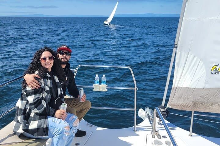 Experience Serenity and Wildlife on a Monterey Bay Catamaran Sailing Cruise