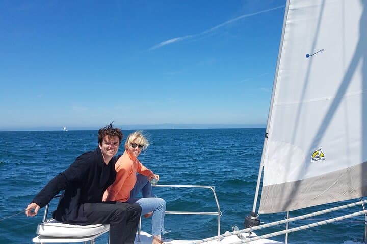 Experience Serenity and Wildlife on a Monterey Bay Catamaran Sailing Cruise photo 5