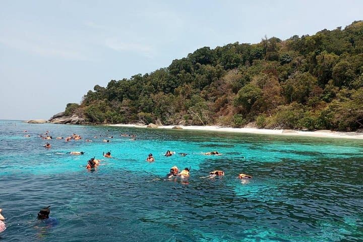Phi Phi Speedboat Adventure: Maya Bay, Pileh Lagoon and Bamboo Island Day Tour photo 3
