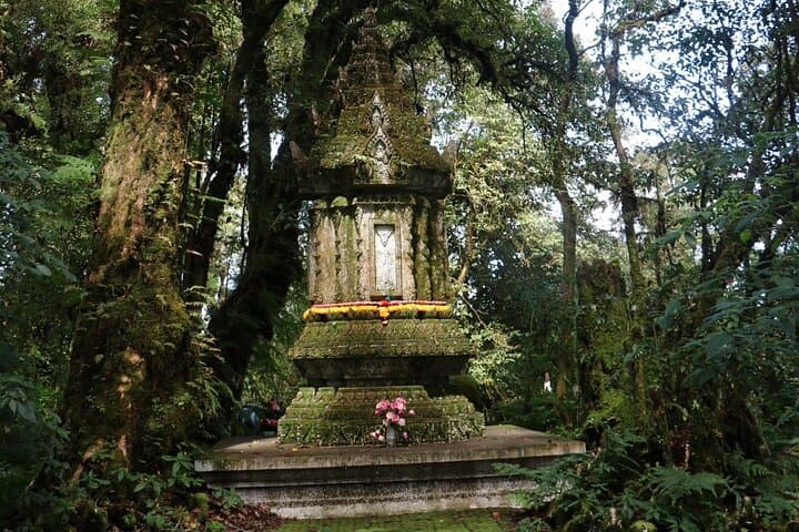 Doi Inthanon Day Tour: Summit, Waterfalls & Hill Tribe Coffee