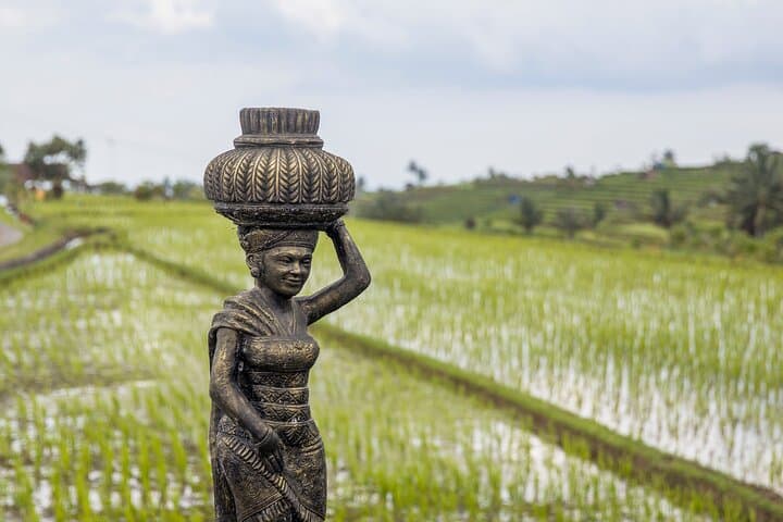 Bali Temple Trail: Tanah Lot, Batukaru & Jatiluwih Rice Terraces Private Tour photo 5