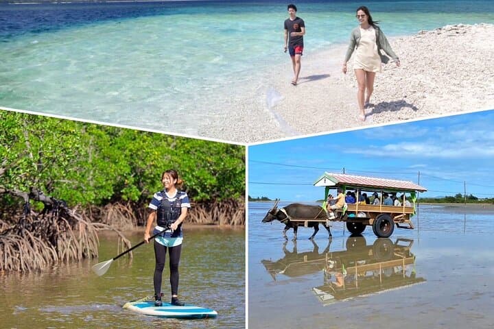 Iriomote Mangrove SUP and Canoe Day Trip to Barasu & Yubu Islands photo 1