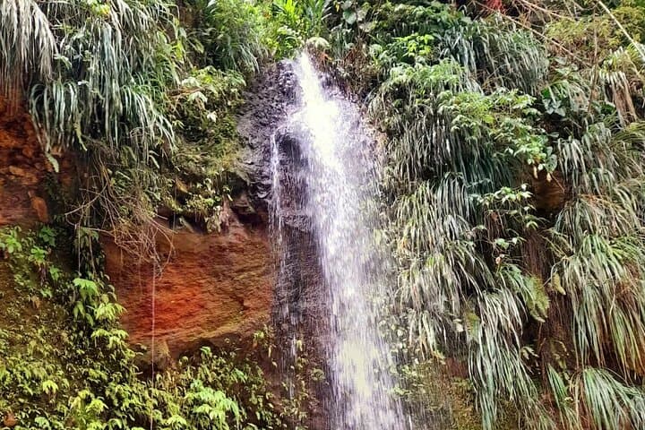 Sulphur Springs & Waterfall Hike: Mud Baths and Mountain Views in Soufrière photo 5