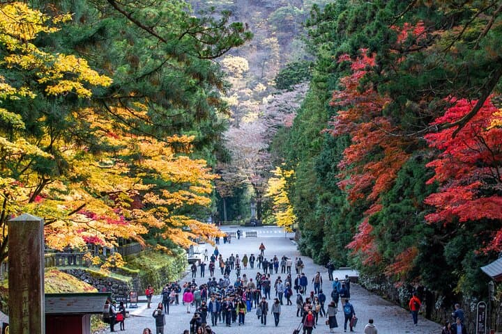 Nikko Private Customizable Half-Day Tour — Personalized Shrine, Garden & Mountain Walks