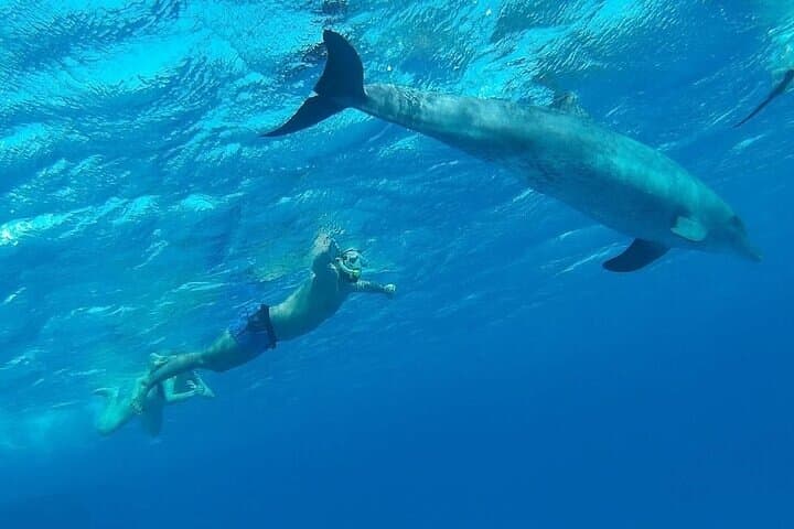 Hurghada Orange Island Snorkeling & Seafood Lunch Trip photo 5