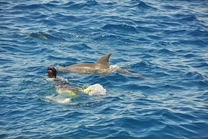 Hurghada Orange Island Snorkeling & Seafood Lunch Trip photo 6