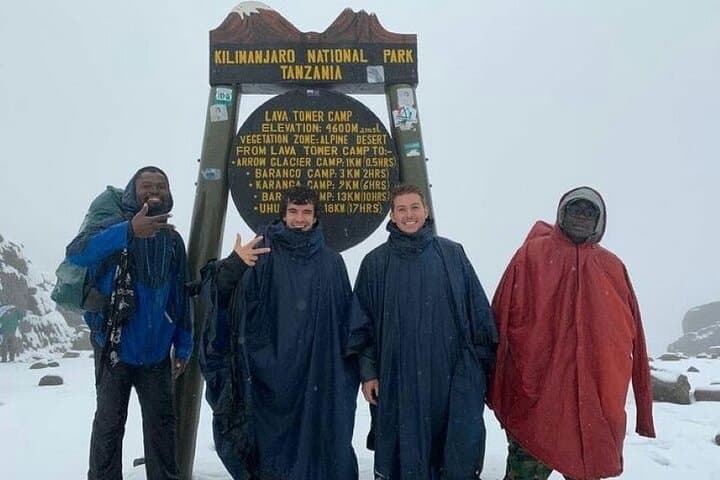 Lemosho Route 8-Day Kilimanjaro Climb to Uhuru Peak