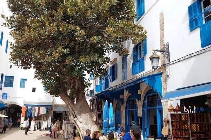 Essaouira Day Trip from Marrakech: Explore the Medina, Ramparts & Atlantic Coast photo 5