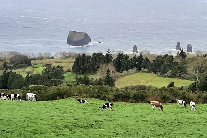 Exploring Lagoa das Sete Cidades: Guided Crater and Volcano Visit on São Miguel photo 3