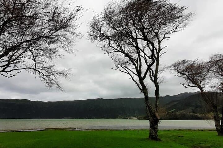 Exploring Lagoa das Sete Cidades: Guided Crater and Volcano Visit on São Miguel photo 5
