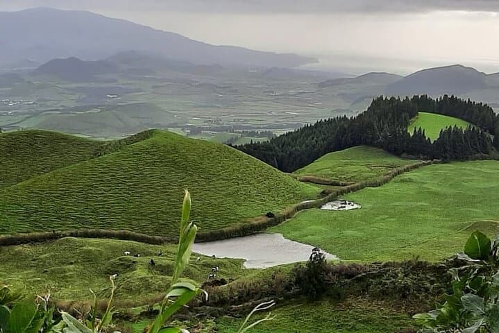 Exploring Lagoa das Sete Cidades: Guided Crater and Volcano Visit on São Miguel photo 6