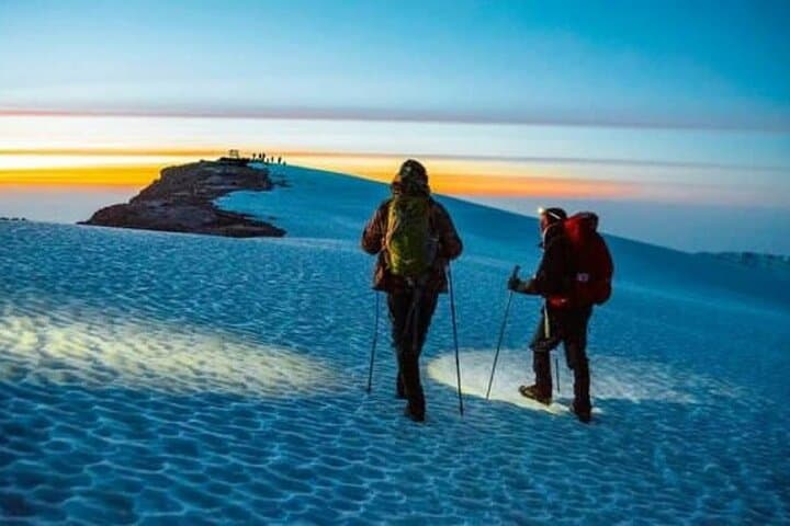 Lemosho Route 8-Day Kilimanjaro Climb to Uhuru Peak photo 3