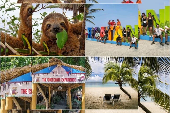 Roatan Sloths & Monkeys Tour with Chocolate Factory and West Bay Beach Break