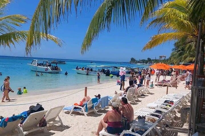 Roatan Sloths & Monkeys Tour with Chocolate Factory and West Bay Beach Break photo 2