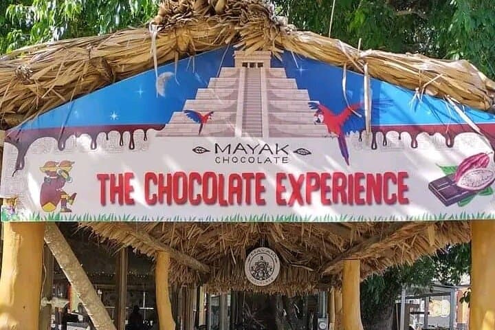 Roatan Sloths & Monkeys Tour with Chocolate Factory and West Bay Beach Break photo 3