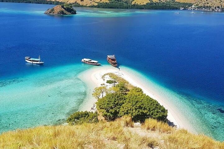 Komodo National Park One-Day Tour: Padar, Komodo & Manta Snorkel photo 4