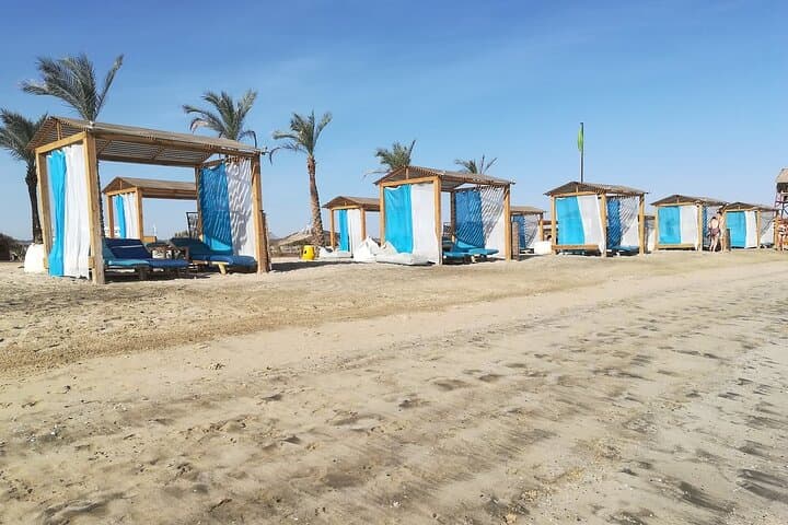 Full-Day Abu Dabbab Beach Snorkel from Hurghada — Sea Turtles & Lunch photo 6