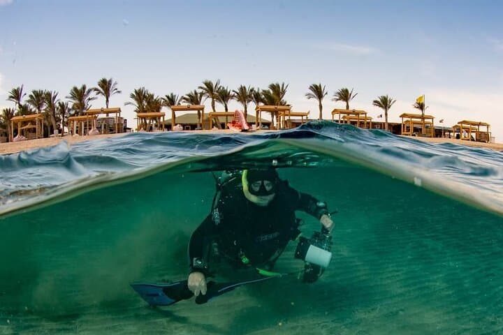 Full-Day Abu Dabbab Beach Snorkel from Hurghada — Sea Turtles & Lunch photo 4