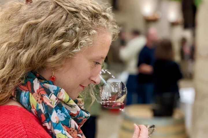 Meursault Vineyard Walk: Burgundy Wine Tour & Tasting