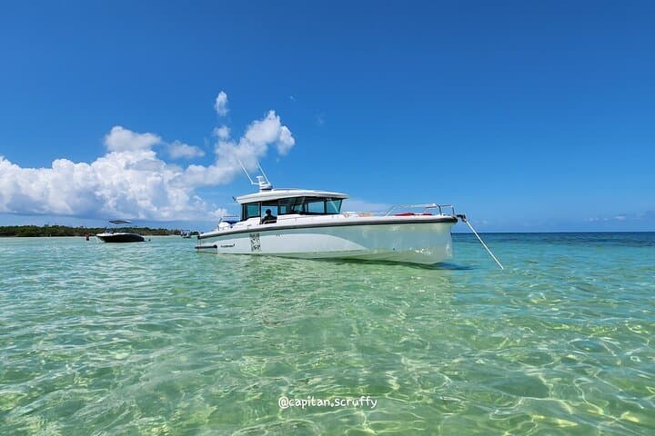 Explore Key West’s Coastal Wonders: A Half-Day Luxury Boat Tour with Snorkeling photo 4
