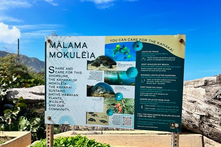 North Shore Dole Pineapple Farm Tour — Taste Oahu's Pineapple History photo 6