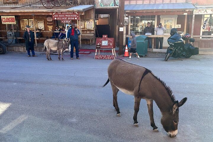 Route 66 to Oatman: Historic Mining Town & Wild Burros Day Trip from Laughlin