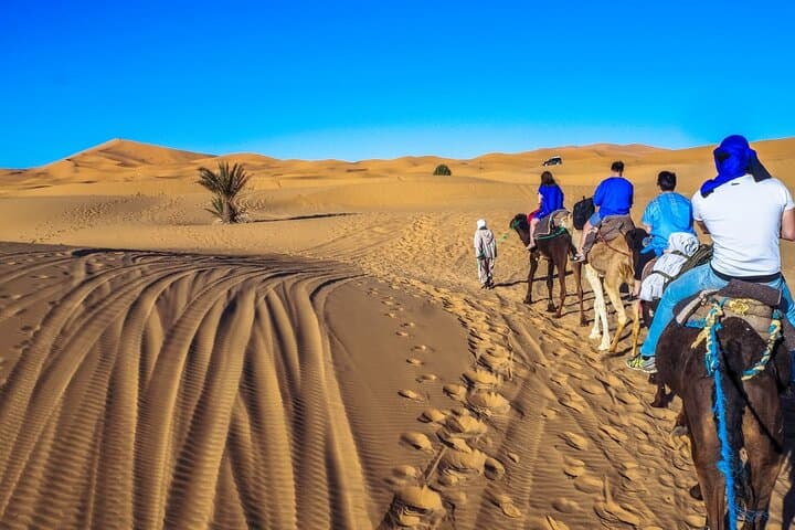 Fes to Marrakech 3-Day Desert Tour: Camel Trek, Erg Chebbi Camp & Aït Ben Haddou