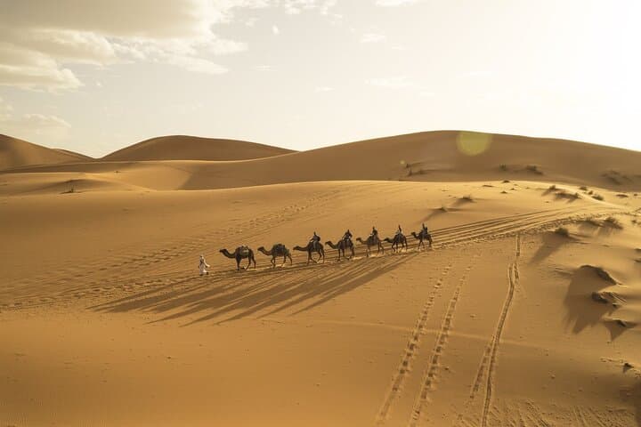 Fes to Marrakech 3-Day Desert Tour: Camel Trek, Erg Chebbi Camp & Aït Ben Haddou photo 5