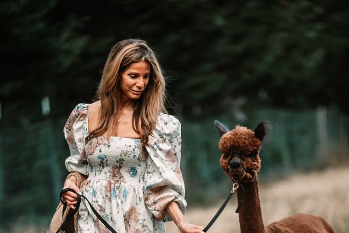 Alpaca Photoshoot & Farm Experience Near Seattle: Hands-On Animal Session