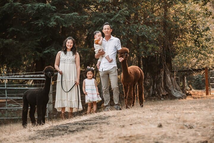 Alpaca Photoshoot & Farm Experience Near Seattle: Hands-On Animal Session photo 2