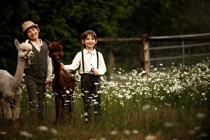 Alpaca Photoshoot & Farm Experience Near Seattle: Hands-On Animal Session photo 3