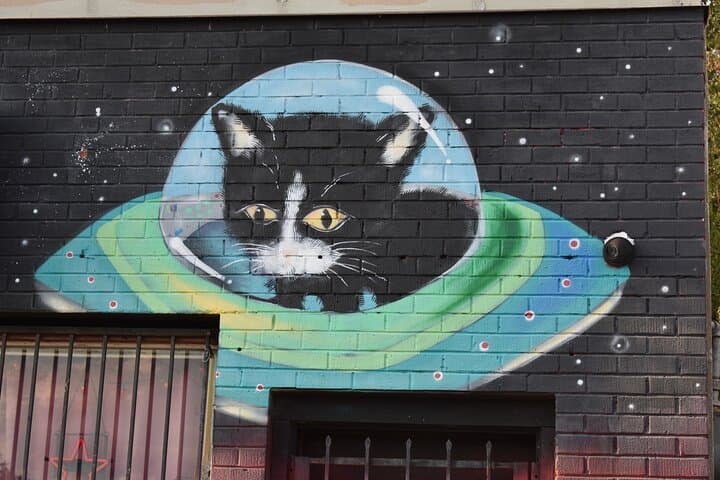Quick Guide: 45-Minute Marigny Triangle Highlights Tour, New Orleans photo 4