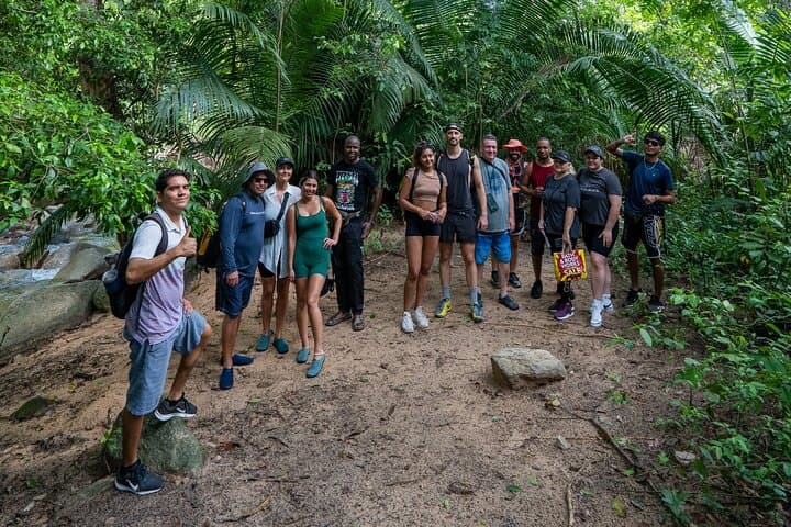 Puerto Vallarta Waterfall Hike — River Trail, Jungle Flora and a Freshwater Swim photo 3