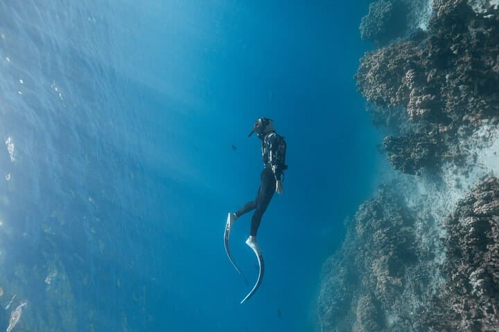 Snorkeling Kealakekua Bay: Kona’s Premier Ocean Tour Experience photo 6