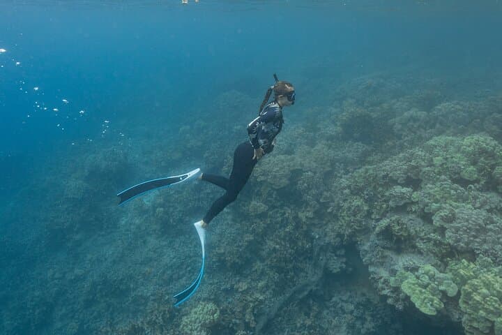 Snorkeling Kealakekua Bay: Kona’s Premier Ocean Tour Experience photo 5